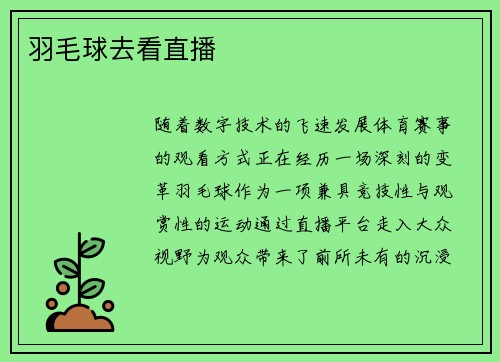 羽毛球去看直播