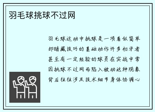 羽毛球挑球不过网