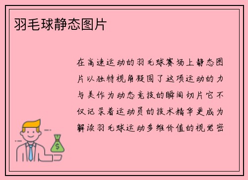 羽毛球静态图片