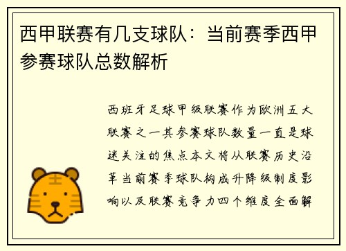 西甲联赛有几支球队：当前赛季西甲参赛球队总数解析